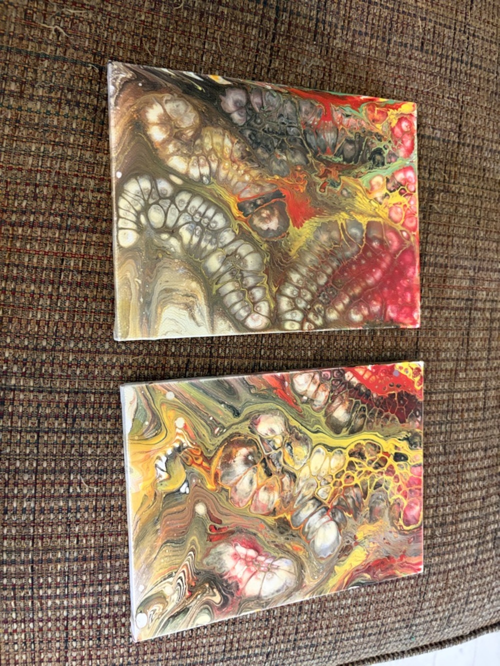 Abstract Fluid Art Pair - Multicolor Canvas Set